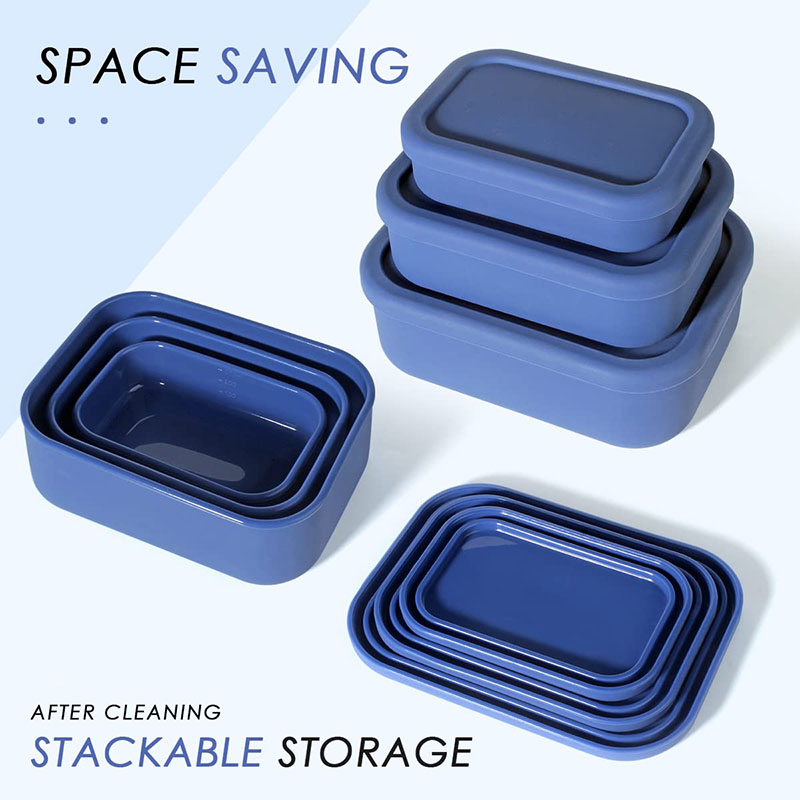 Meal Prep Meal Ideas - Leak-Resistant Bento Lunch Box Reusable BPA-Free