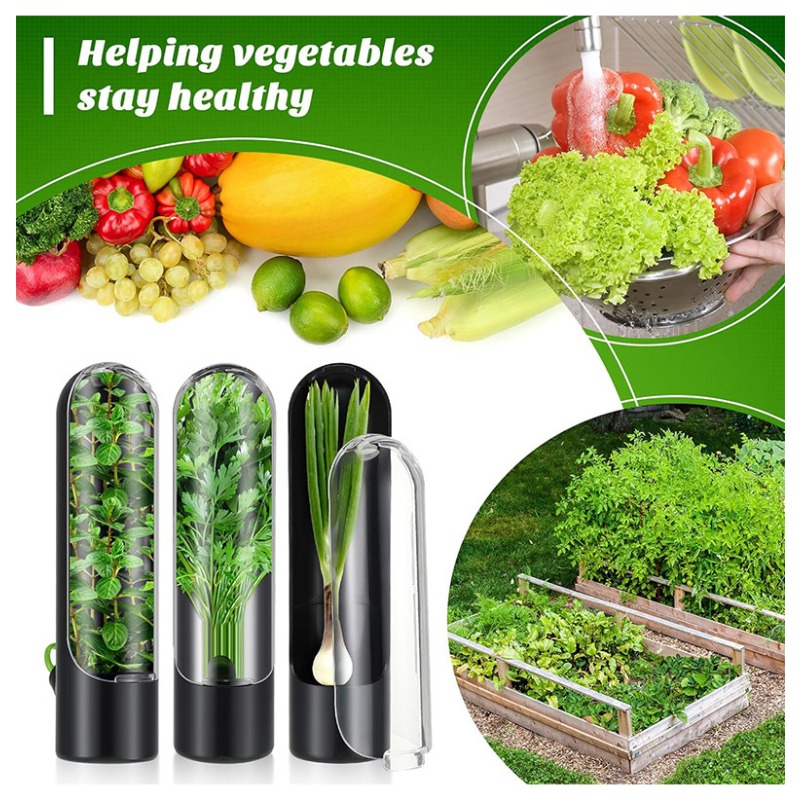 1/2/3PCS Herb Saver Storage Co - Herb Keeper Bottle ulasan dan harga