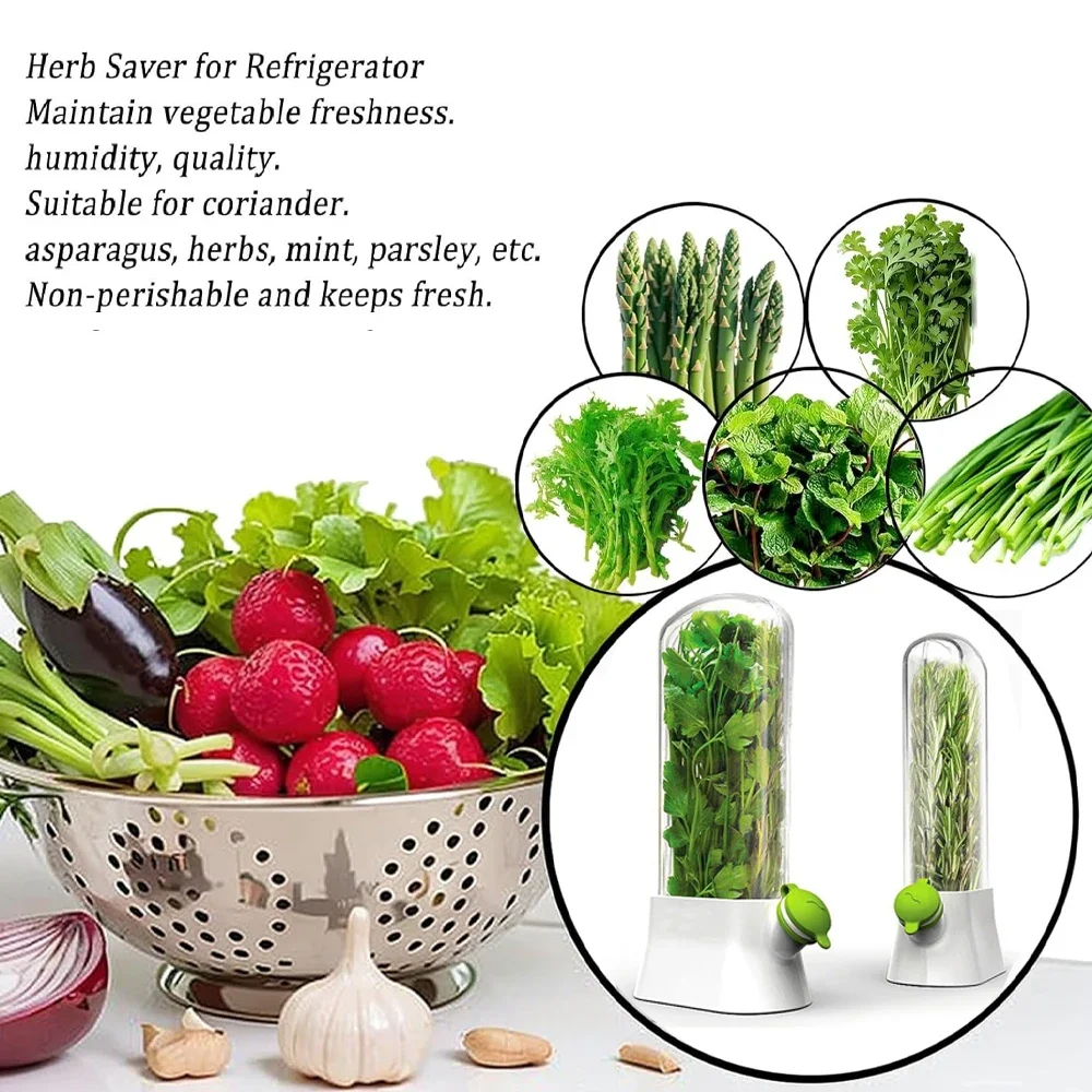 Herb Saver Storage Container V - Herb Keeper Bottle ulasan dan harga