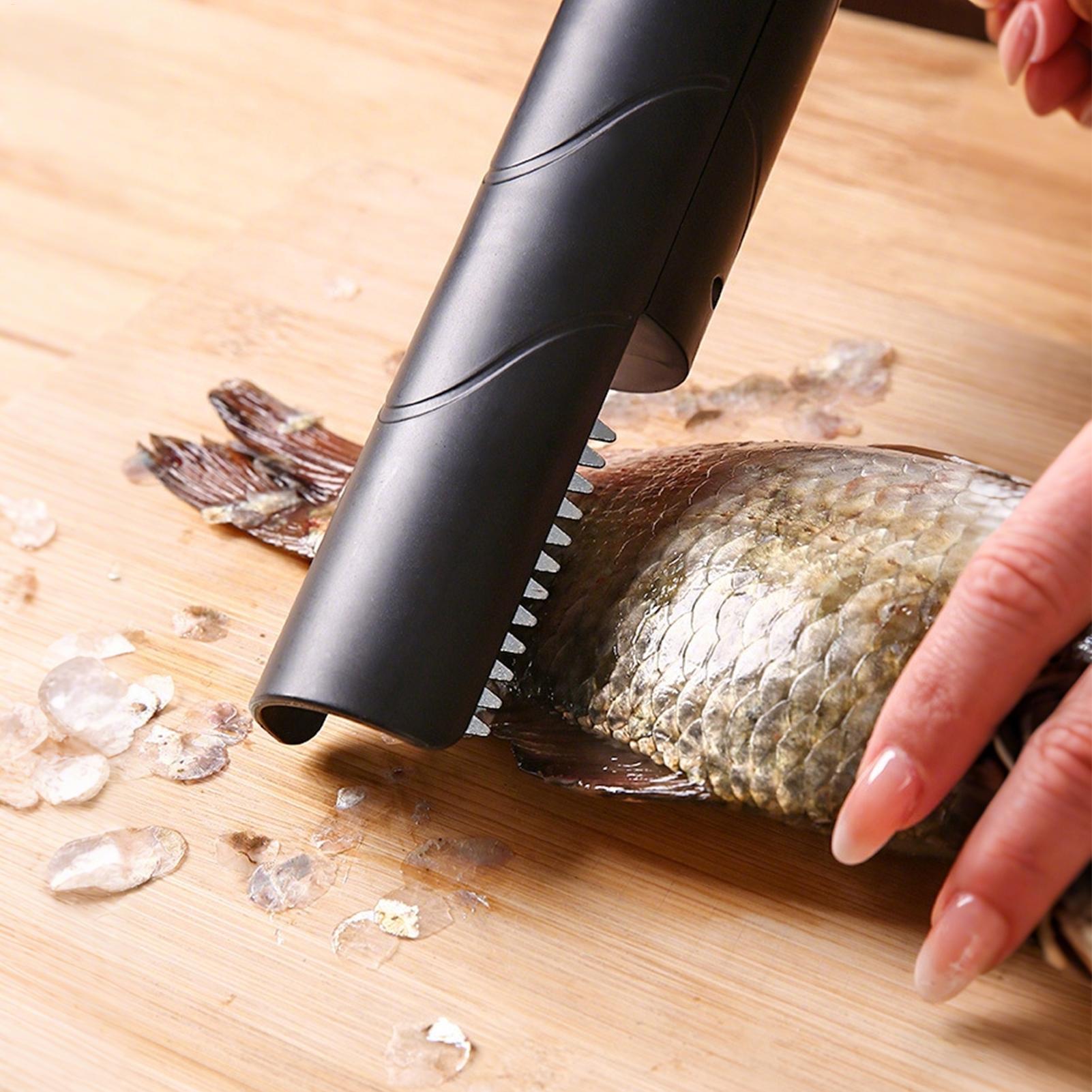 Fruit Grater Cordless Handheld - Meal Prep Restaurant ulasan dan harga