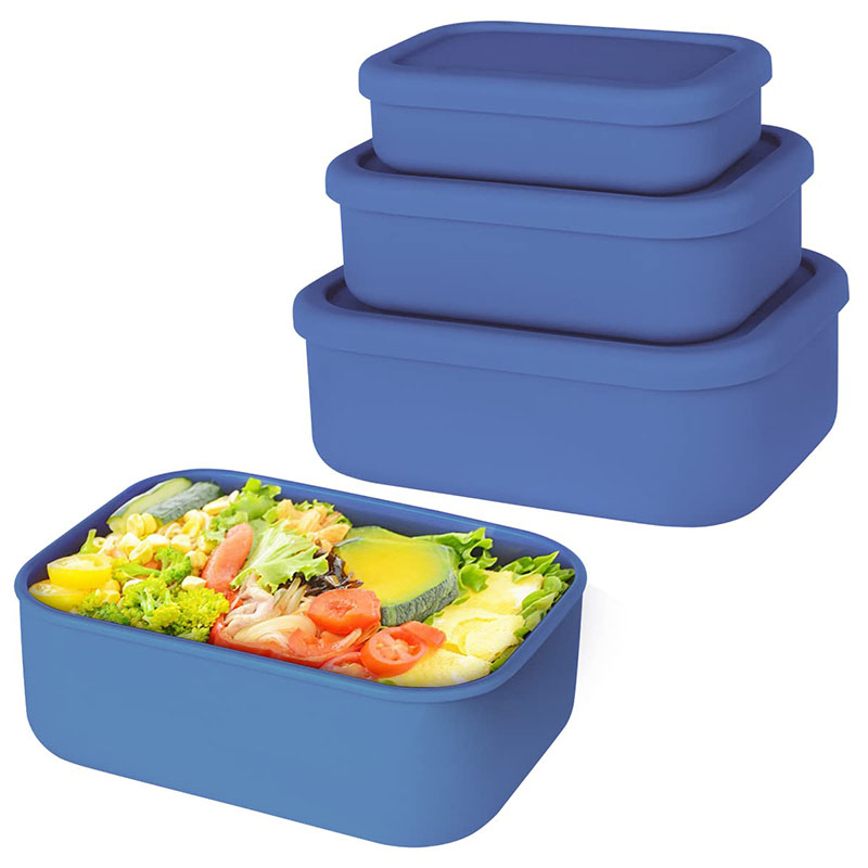 Leak-Resistant Bento Lunch Box - Meal Prep Meal Ideas ulasan dan harga